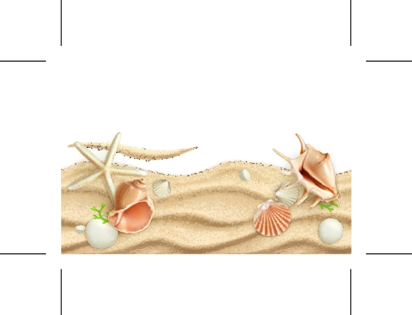 沙滩海螺海星夏日海滩相关元素矢量图