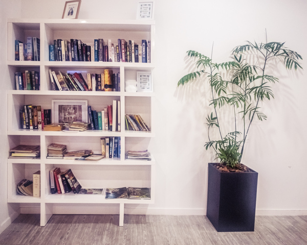 白色书柜和绿色植物