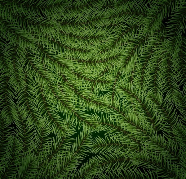 绿色松树枝条背景
