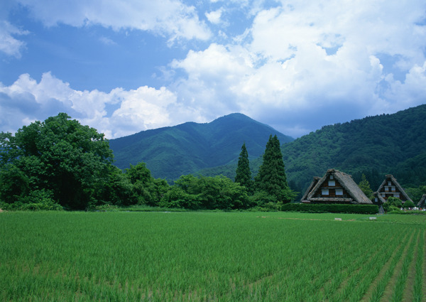 风景