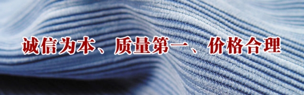 企业文化蓝色波纹banner