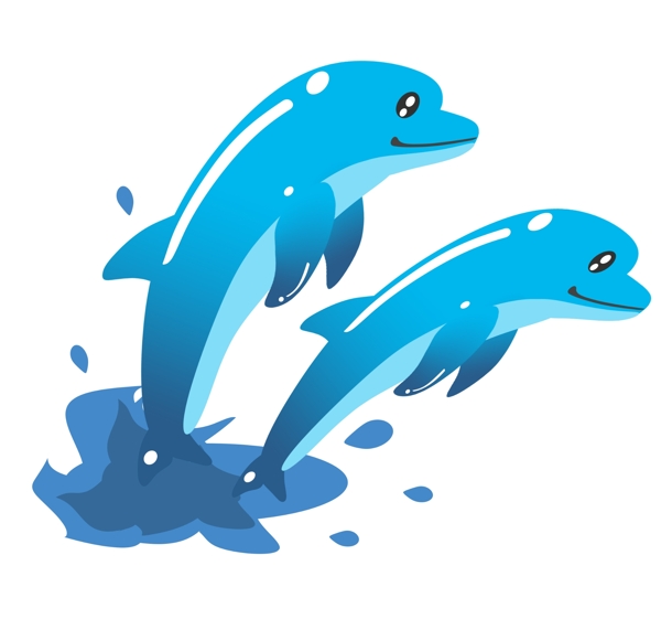两个蓝色海豚