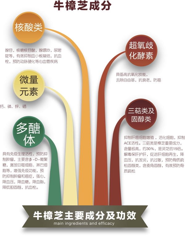 牛樟芝成分图