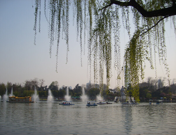 柳树喷泉图片