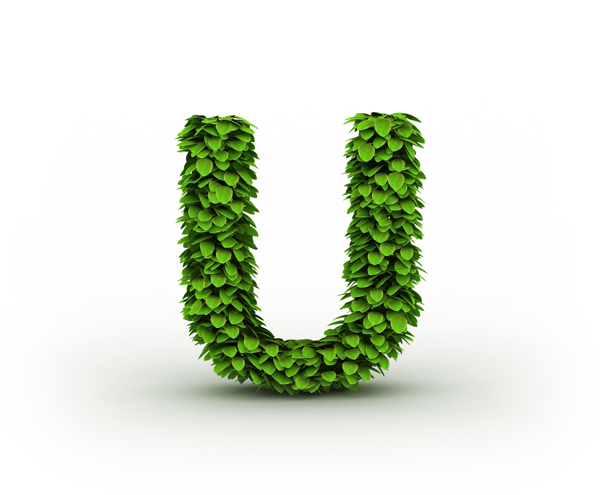 绿叶立体字母U