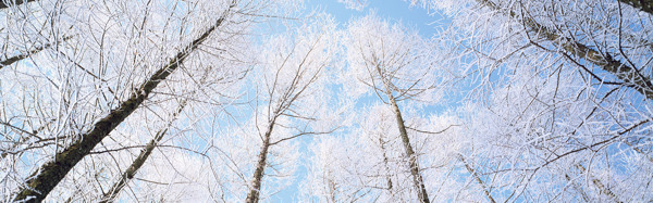 冬天雪景图片背景素材12