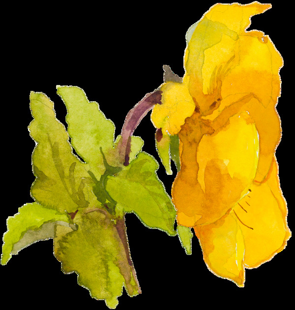 黄色涂鸦花卉透明素材