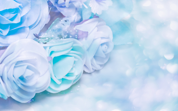 蓝色梦幻光斑玫瑰花图片