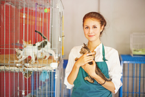 抱着小猫的女人图片