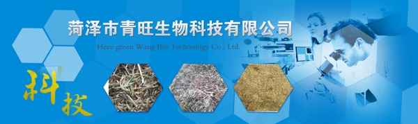 生物网站banner