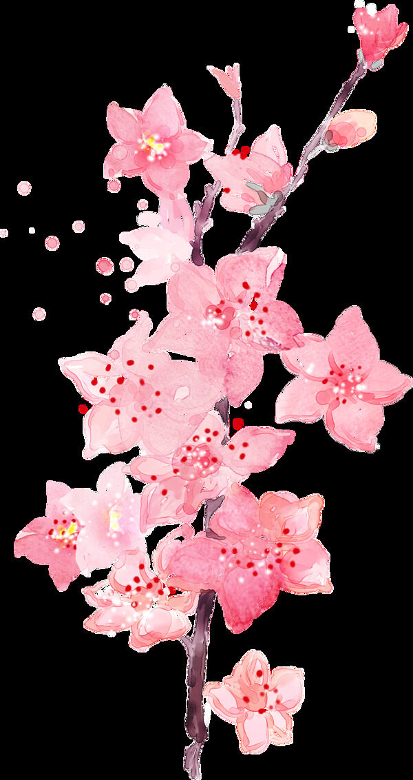 创意花卉手绘画透明装饰素材