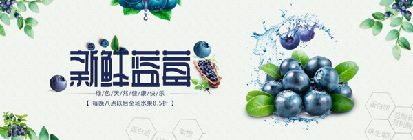 水果蓝莓淘宝海报
