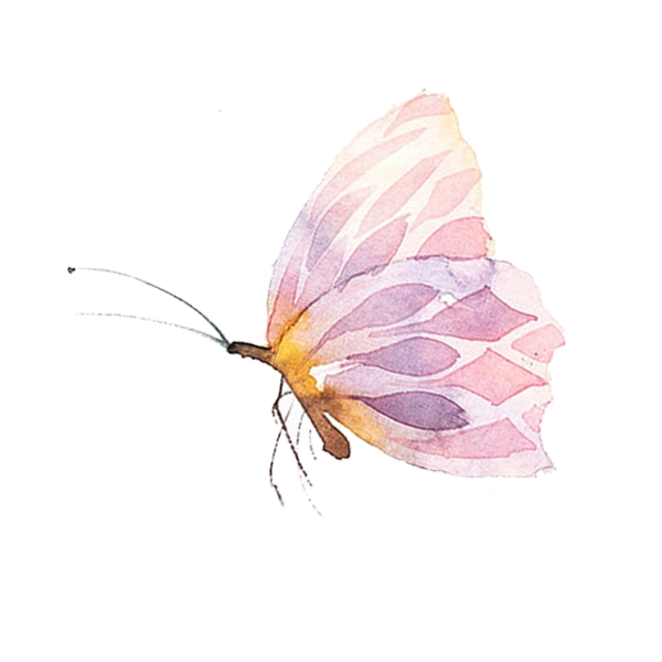 手绘彩色蝴蝶设计元素