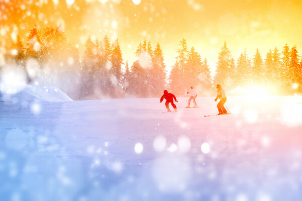 雪地上滑雪的人