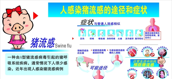 人感染猪流感的途径和症状图片