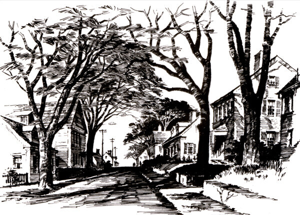 树街道黑白图片