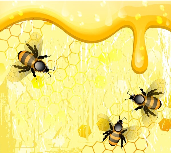 金黄色蜜蜂图片