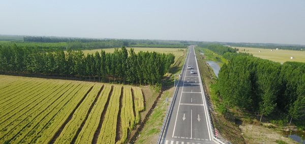 麦田和道路