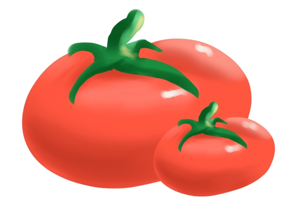 食材西红柿的插画