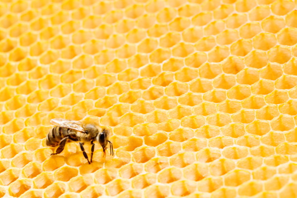 黄色蜂巢蜜图片