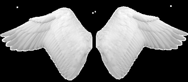 白色天使翅膀png元素素材