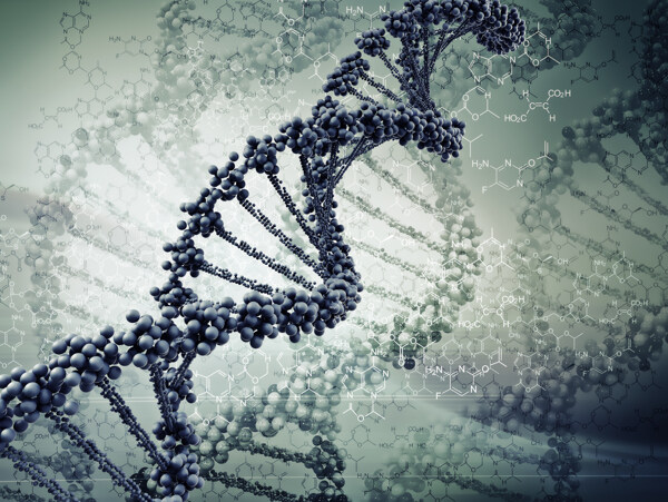 DNA分子图图片