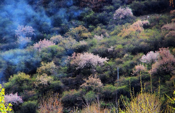 雅鲁藏布大峡谷风景