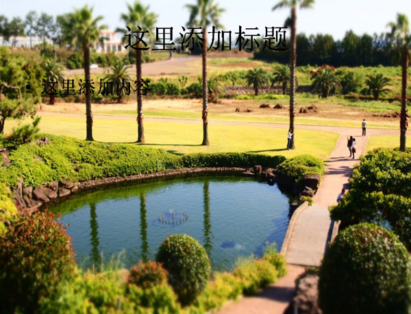 济州岛风光风景311