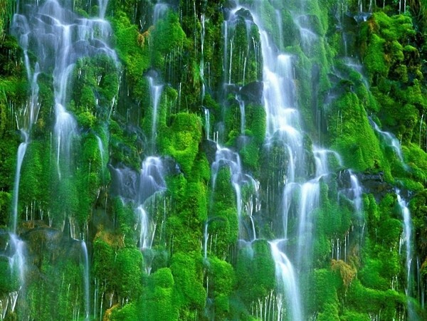 绿与瀑布
