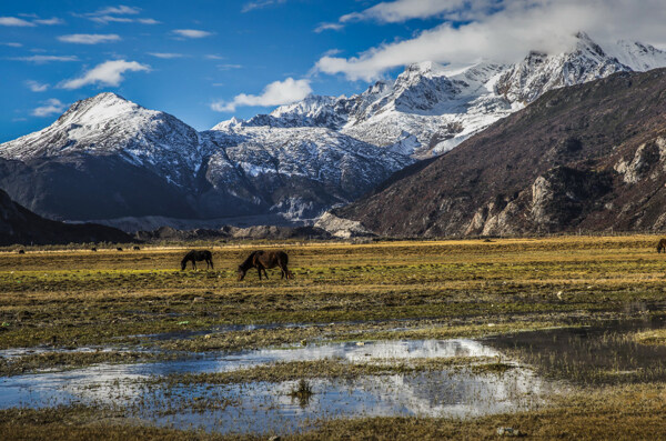 然乌湖风景