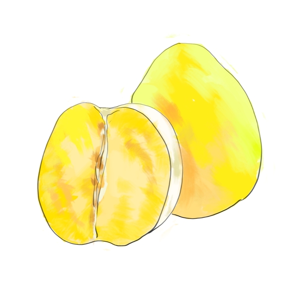 黄色柚子水果插图