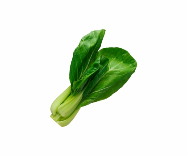 绿植蔬菜青色叶子植物菠菜菜叶素材