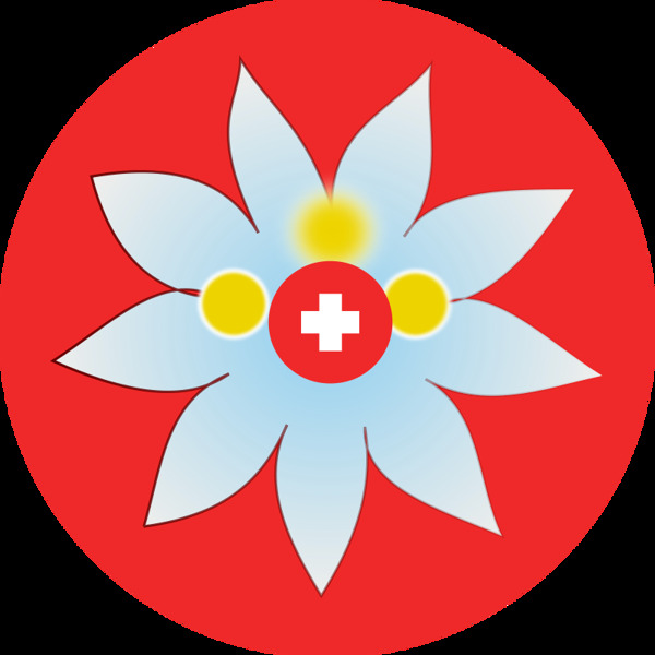 瑞士雪绒花