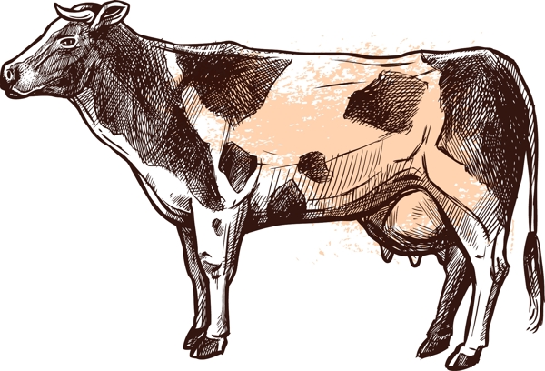 手绘一只奶牛矢量元素