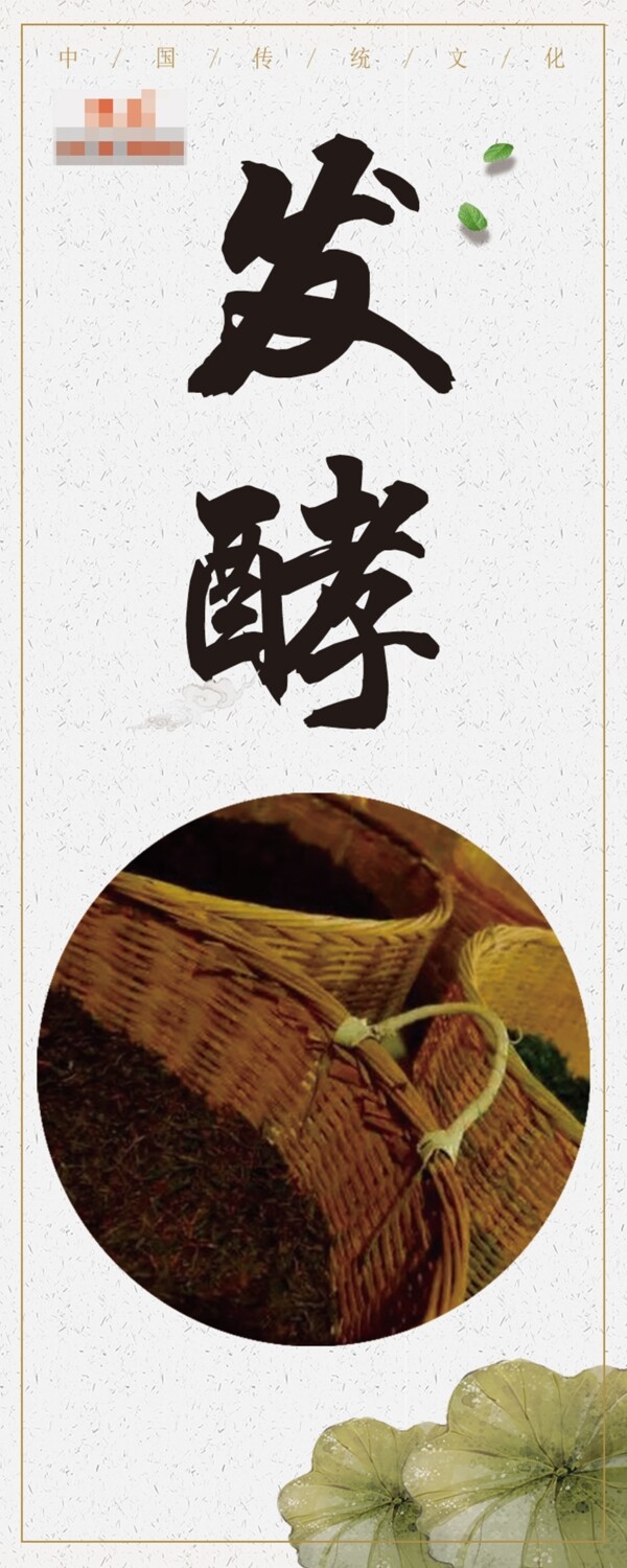 茶叶工艺发酵展板