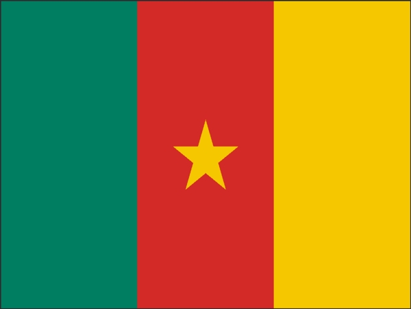 矢量喀麦隆国旗