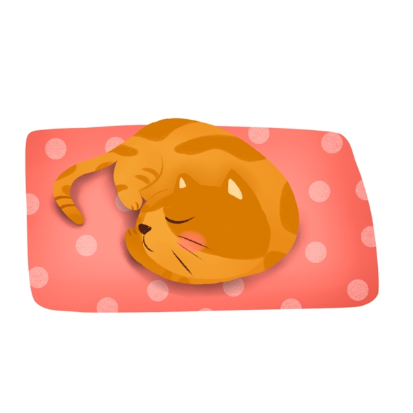 在粉色毯子上睡懒觉的小猫可商用元素