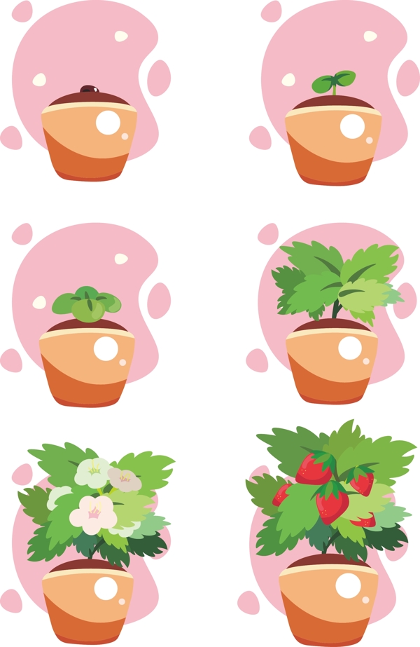 卡通草莓植物生长过程矢量装饰图案