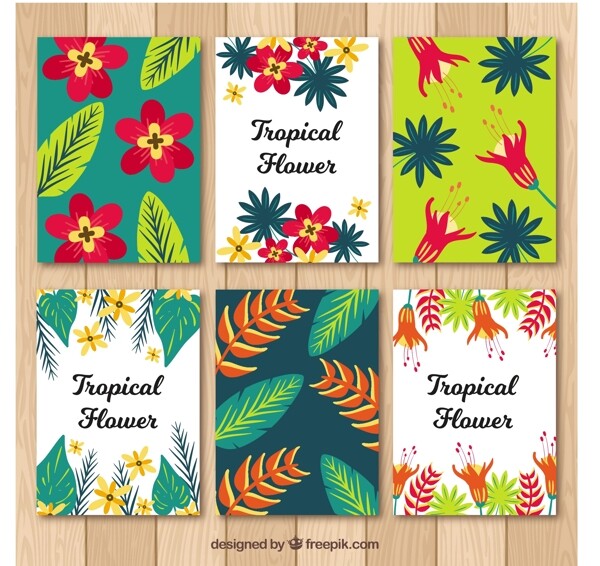 热带夏季卡片收集平面设计