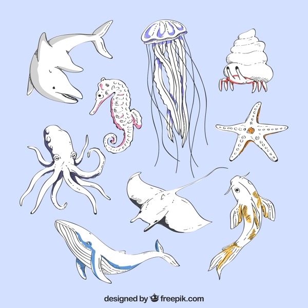 9款手绘海洋动物设计矢量素材