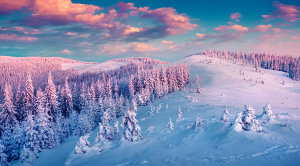 冬天雪景高清