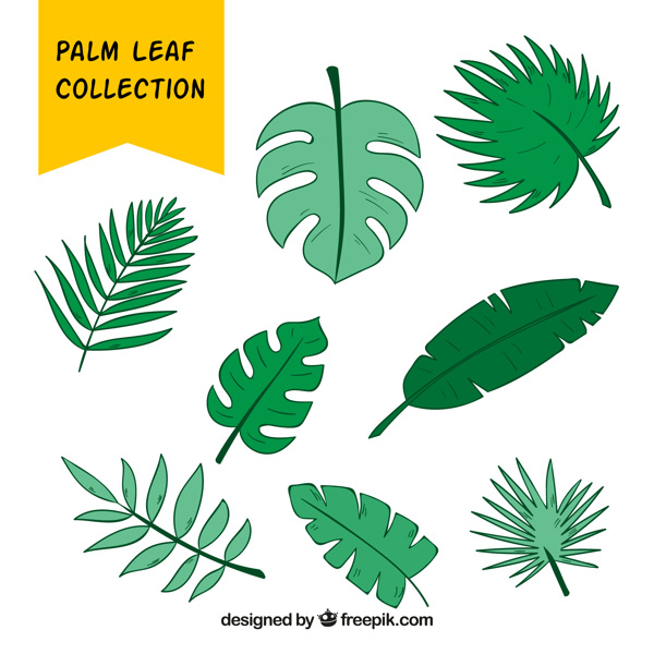 各种形状绿色手绘棕榈叶子矢量设计素材