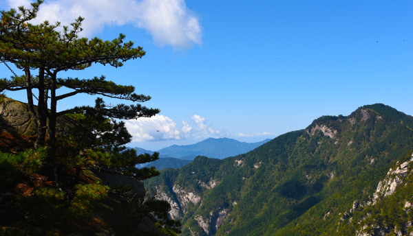 大别山风景