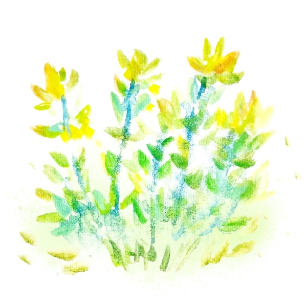 水彩黄色花丛
