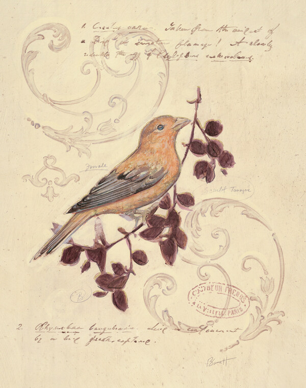 古典植物鸟雀装饰绘画