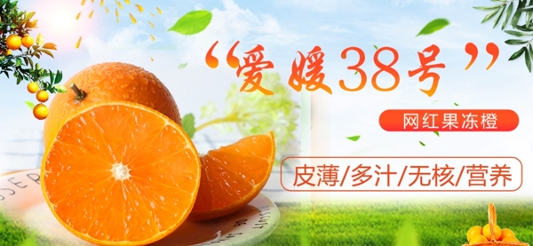 爱媛38号果冻橙banner