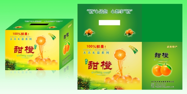 甜橙食品包装包装设计图片