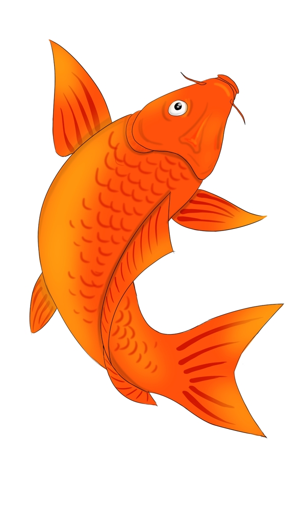 红色鲤鱼海洋动物卡通