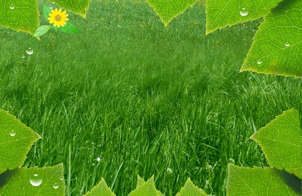 树叶草地绿色图片