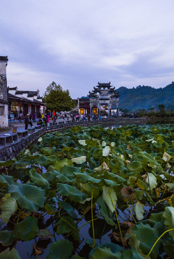 西递图片